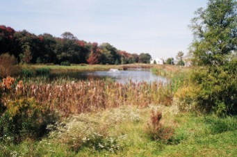 Hansell Pond