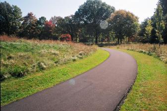 Meadow Path